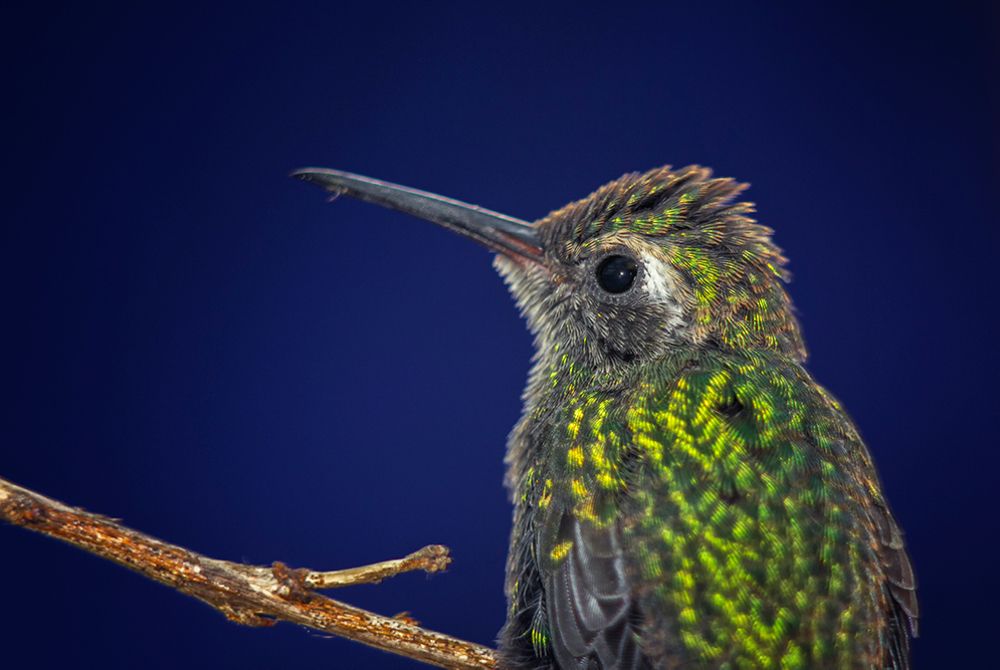 Photograph by Raúl Navarro González