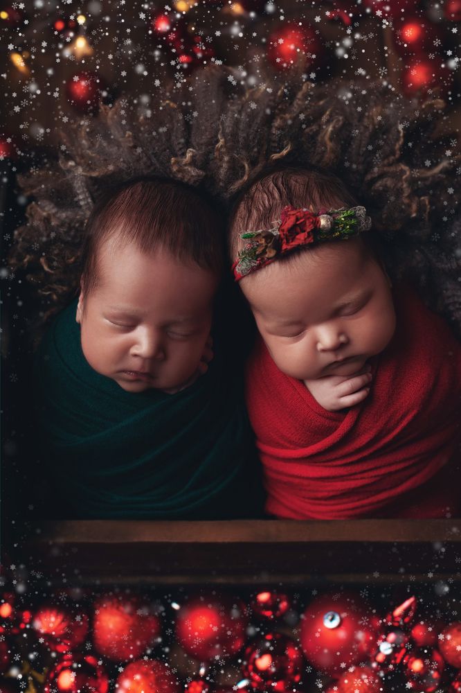 Фотография автора Ману Фалько