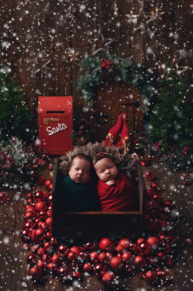 Фотография автора Ману Фалько