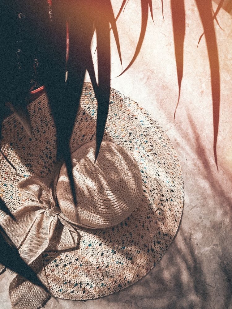 Dreams of palm trees