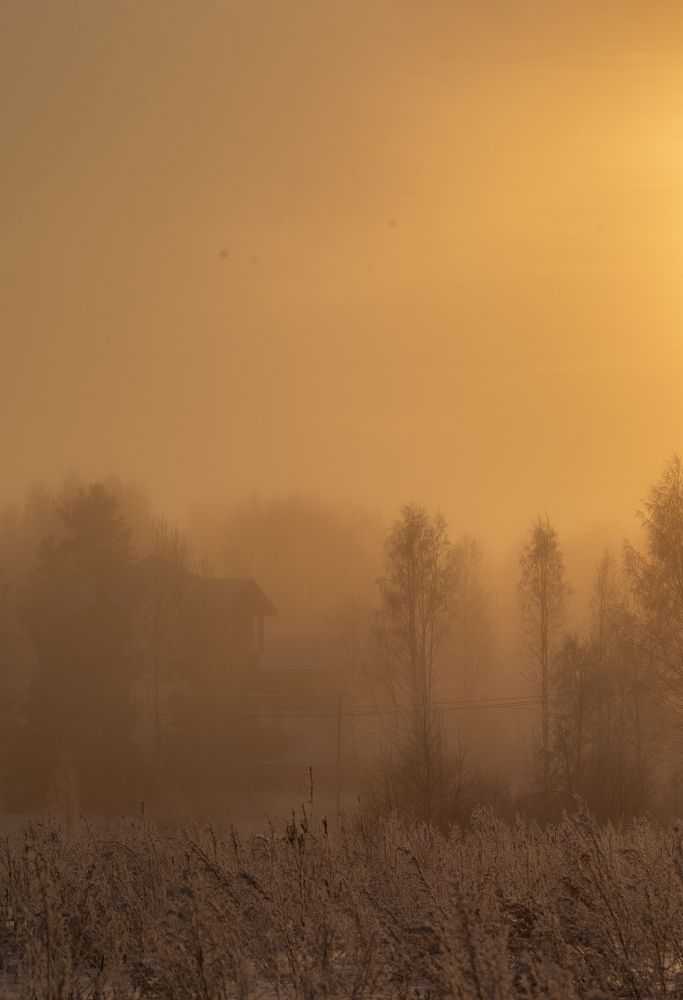 Photograph by Ульяна Меньшикова