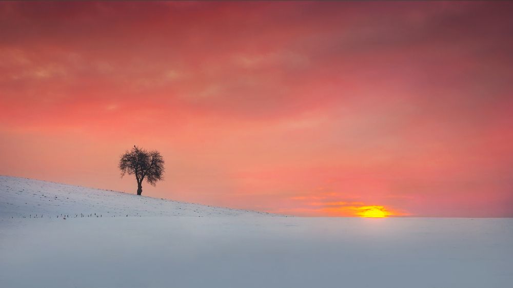 Photograph by Katarzyna Bochniak