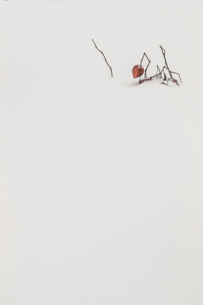 Photograph by Евгения Гудкова