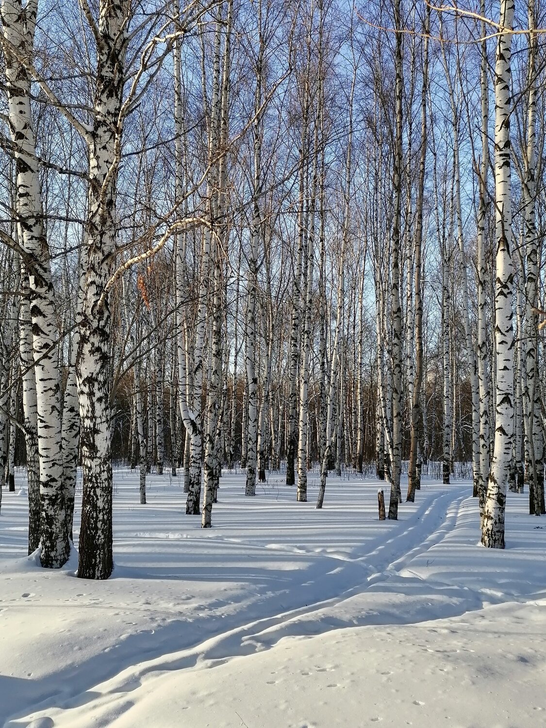 Зимняя быль