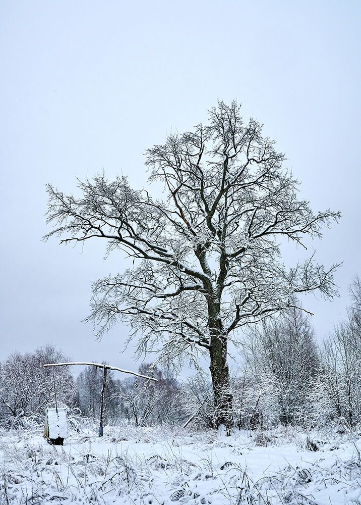 Photograph by Алексей Матвеев