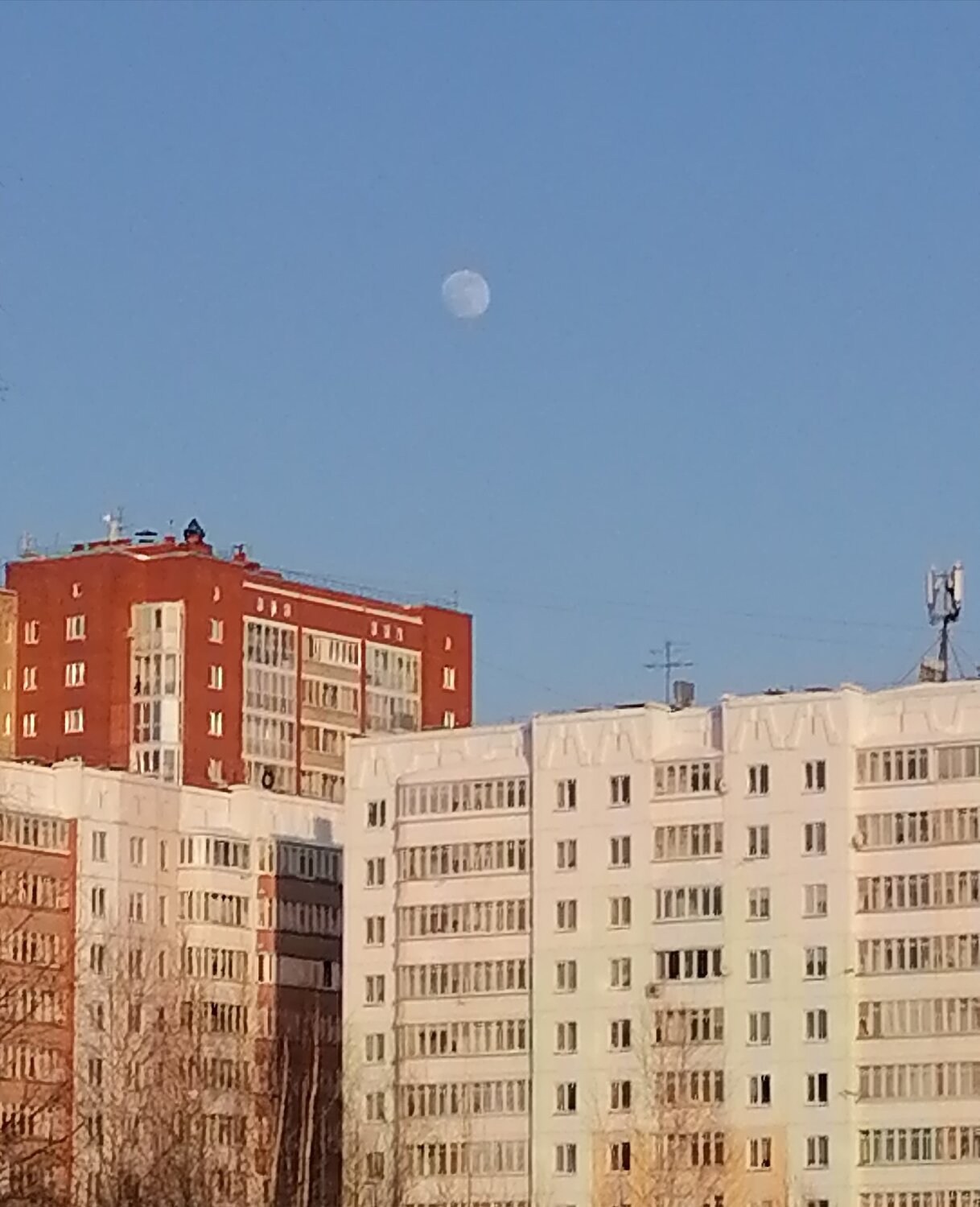 Photo #5909689