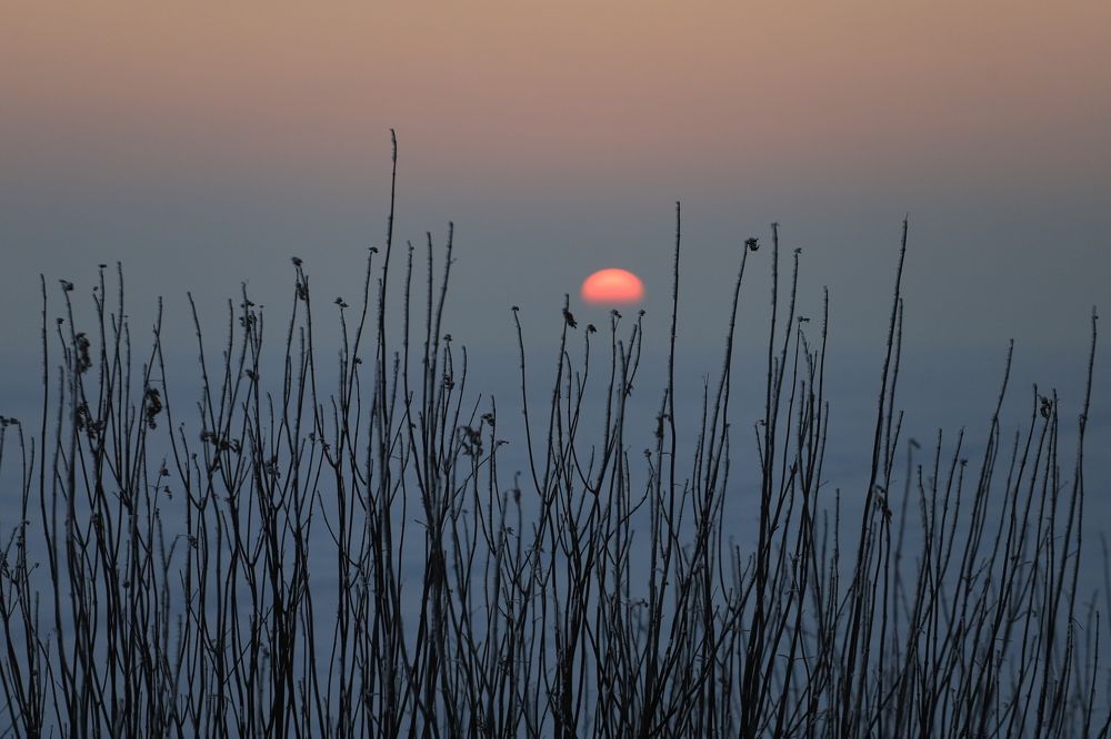 Photograph by Елена Волжанкина