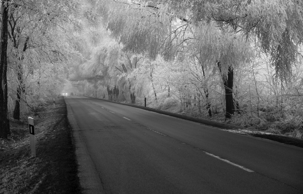 Photograph by Berezvai László