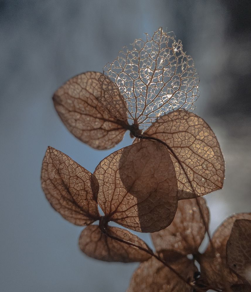 Photograph by Tatyana Belova