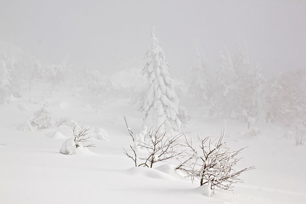 Photograph by Виктория Байкова
