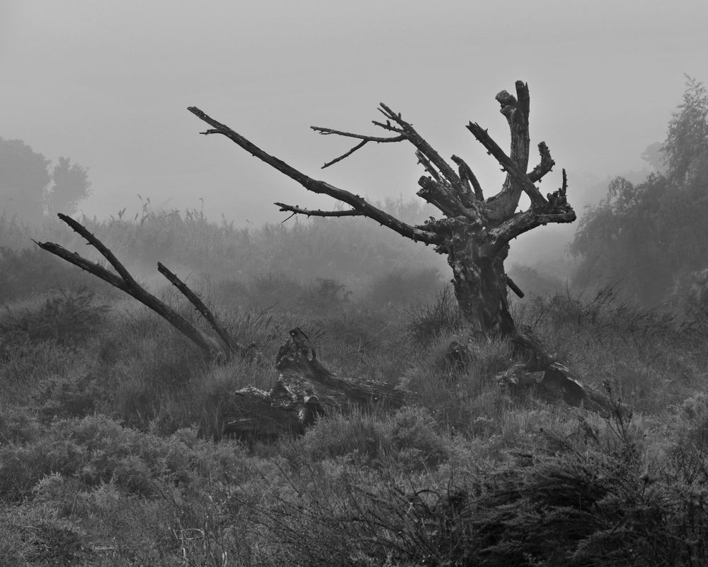 Фотография автора Dmitry