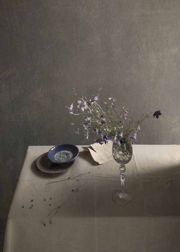 Фотография автора Коршак Елена