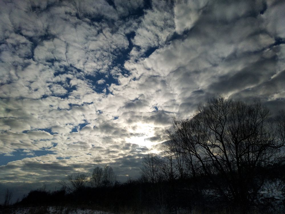 Photo #5910104