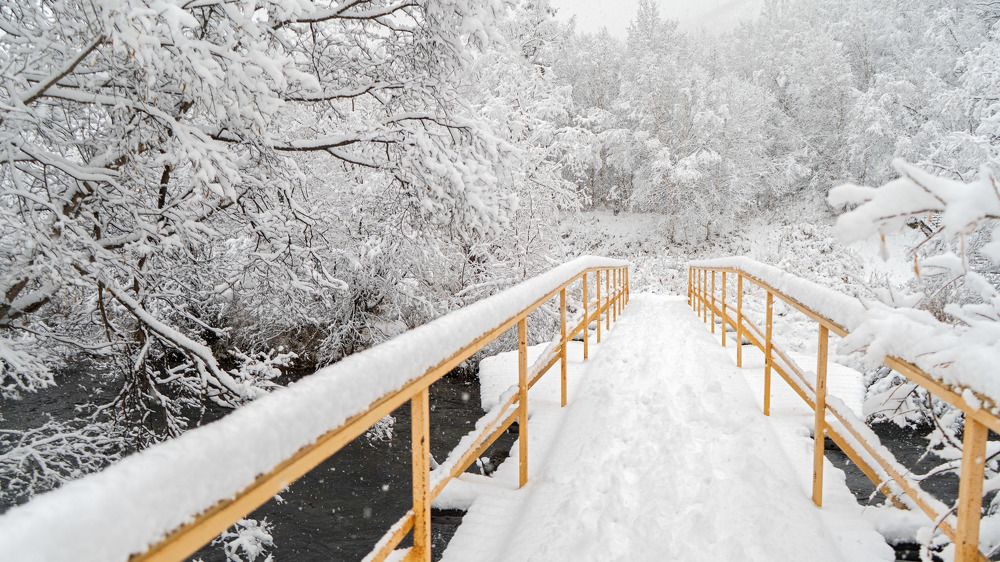 Photograph by Дмитрий Ворошилов