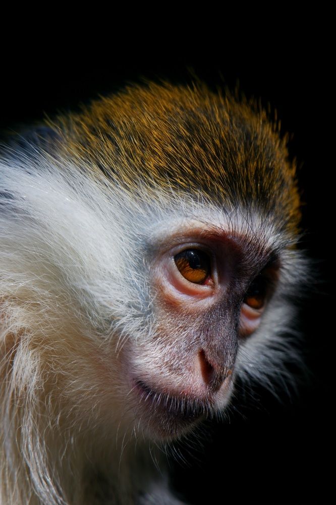 Photograph by Евгения