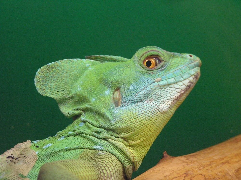 Photograph by Евгения