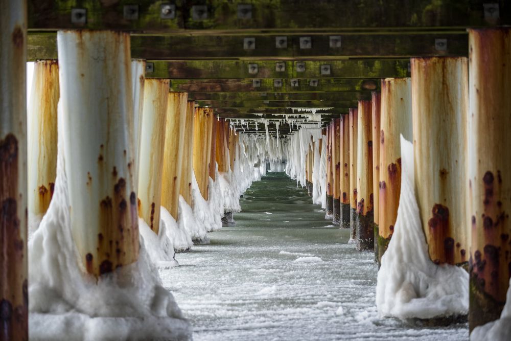 Photograph by Dmytro Kharchenko