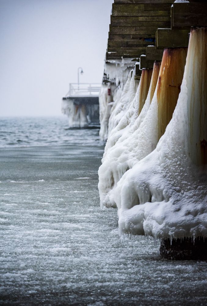 Photograph by Dmytro Kharchenko