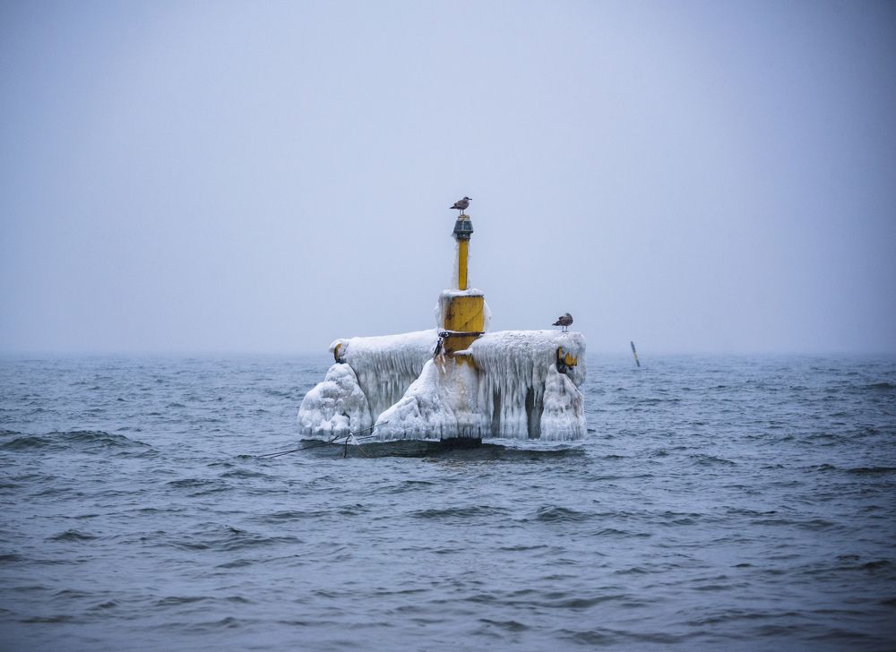 Photograph by Dmytro Kharchenko