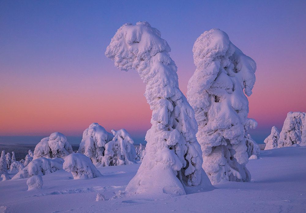 В долине динозавров.