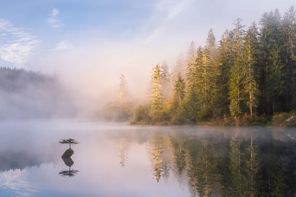 Фотография автора Luc Stadnik