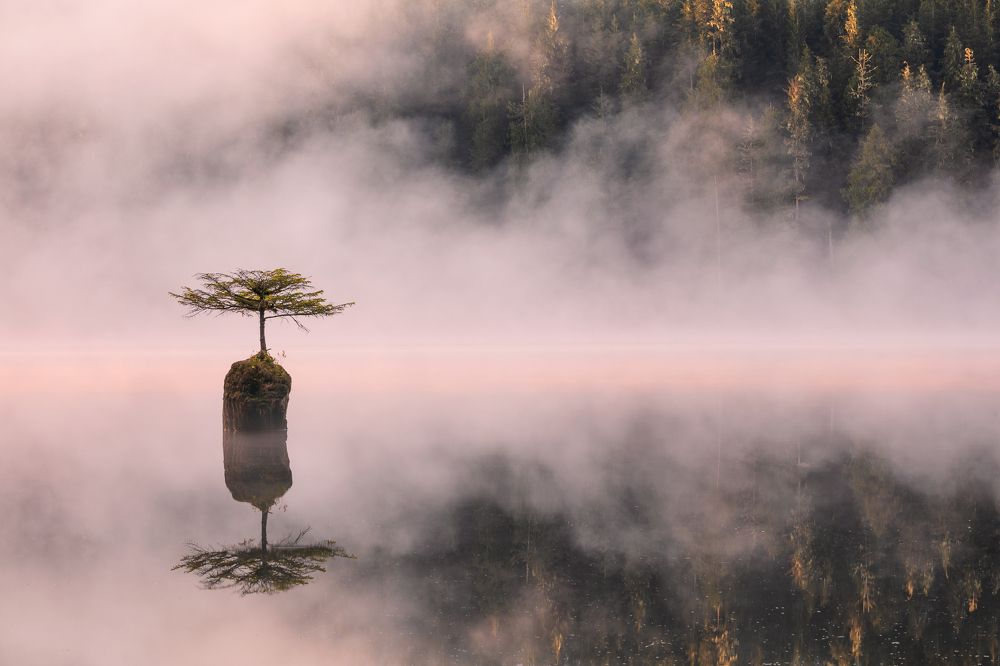 Fairy Lake Bonsai at sunrise