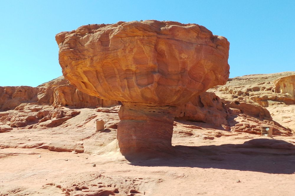 Гриб в парке Тимна, Израиль