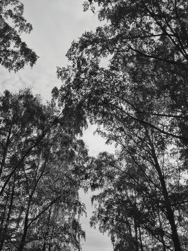 Photograph by Мила