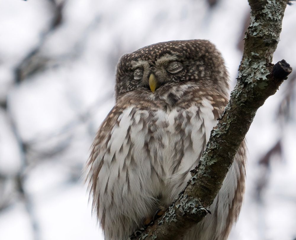 Photograph by Юрий Андреев