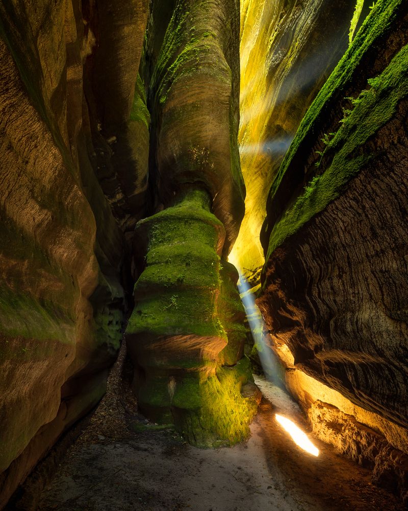 Фотография автора Luc Stadnik