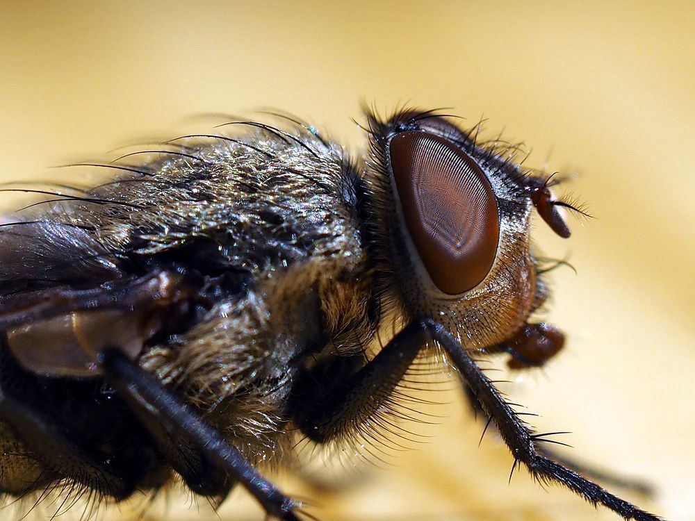 Photograph by Юлия Картушина