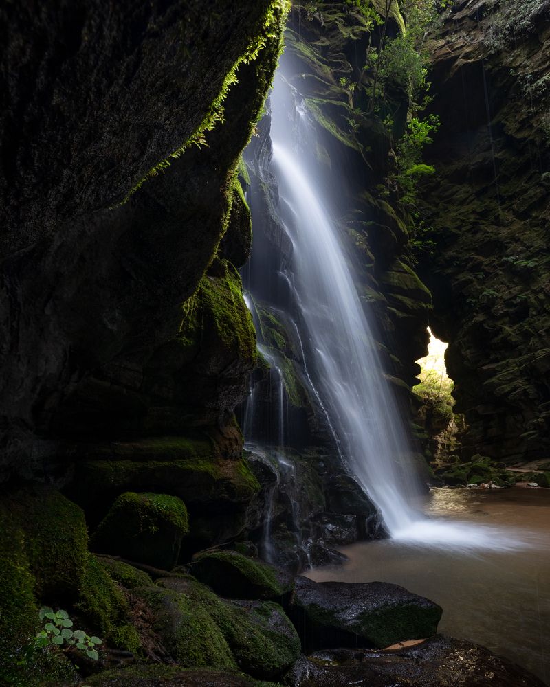 Фотография автора Luc Stadnik