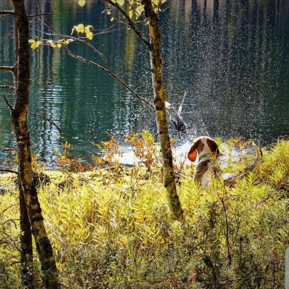 Photograph by Марина Безенкина