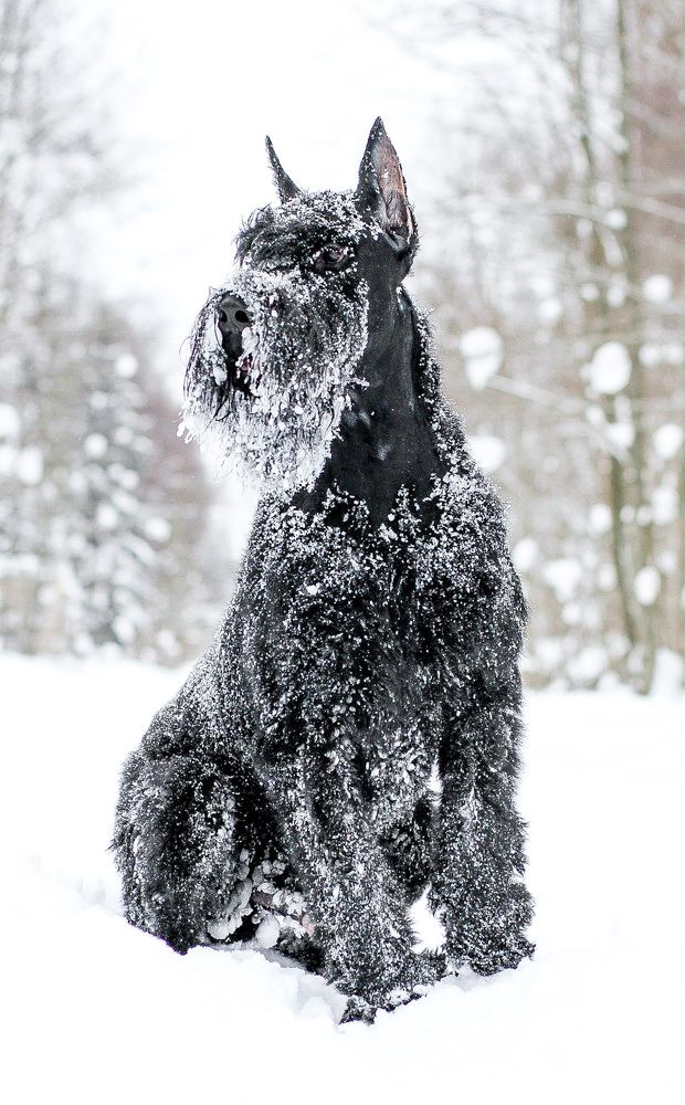 Photograph by Елена Данченко