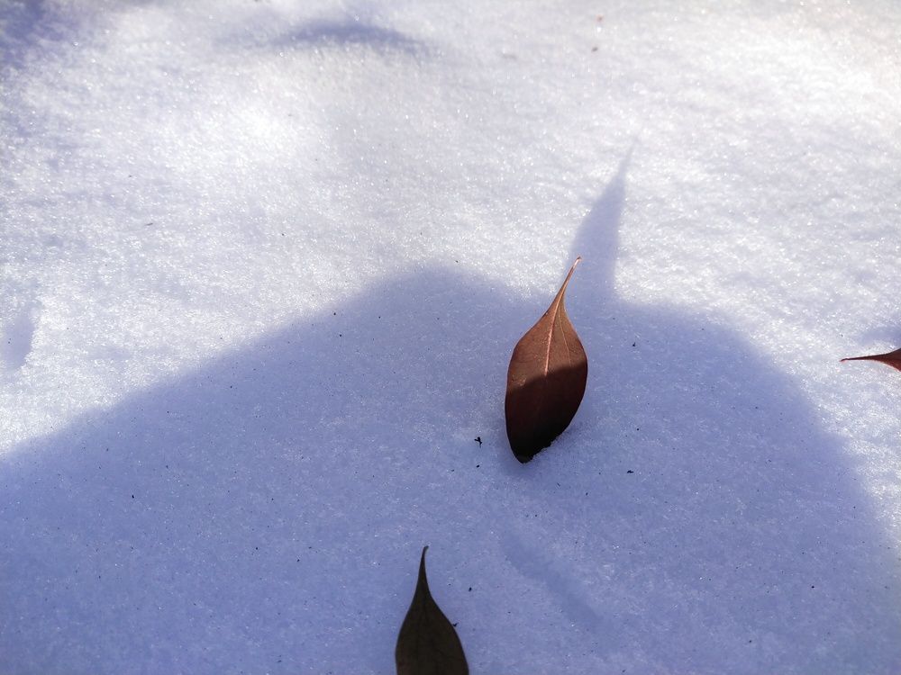 Photograph by Александра Лукашевич