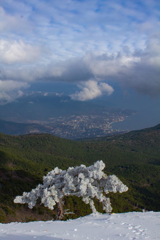 Photograph by Ирина Крепак