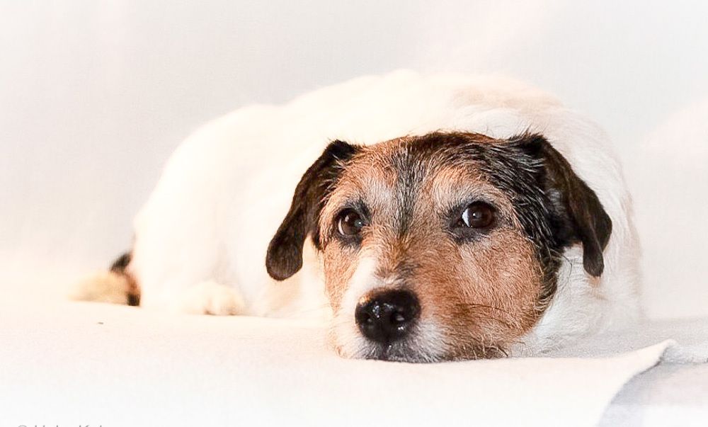 Photograph by Елена Данченко