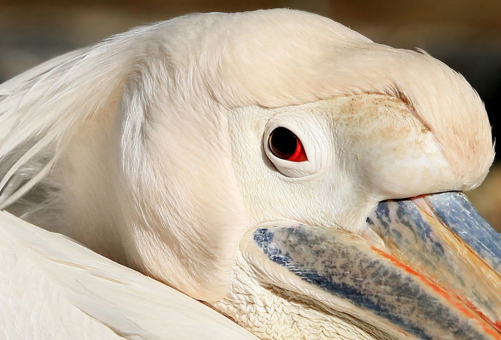 Photograph by Виктор Масальский