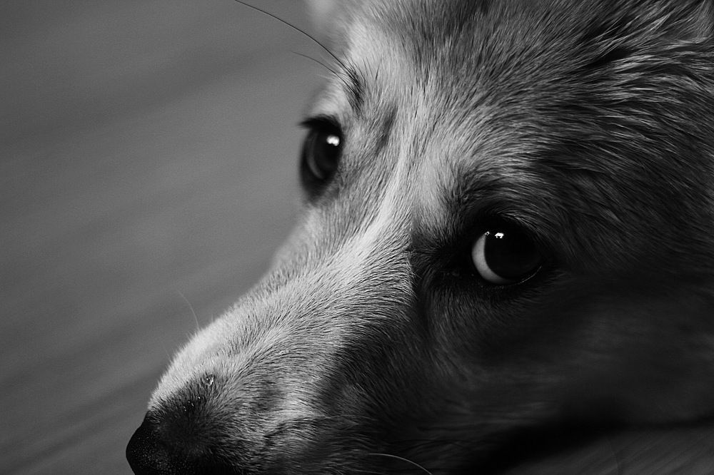 Photograph by Юлия Захаренко