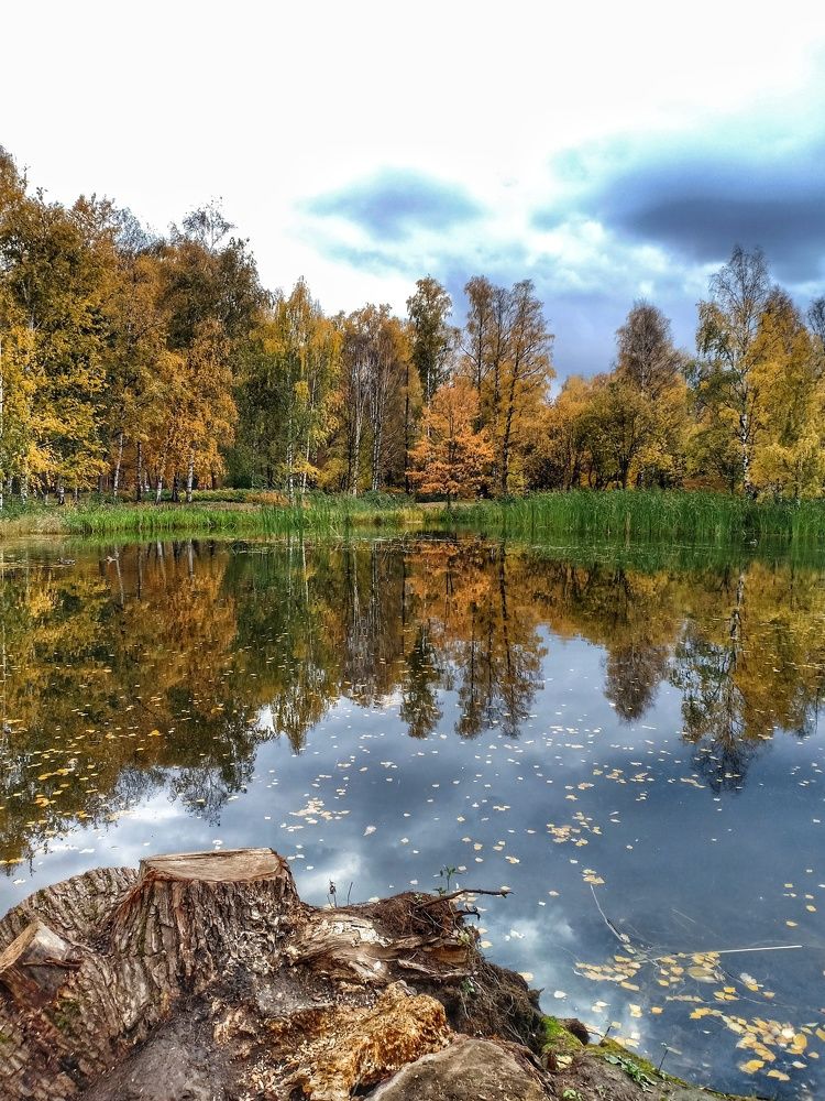 Photograph by Наталья Вавилычева