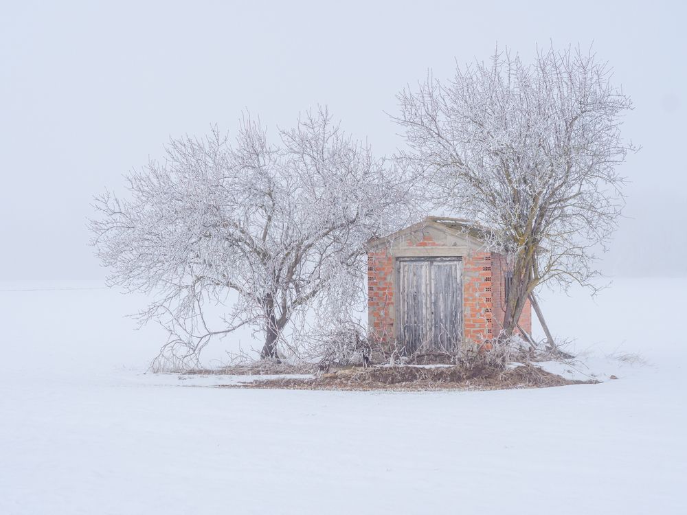 Photograph by Roberto de Diego Martin