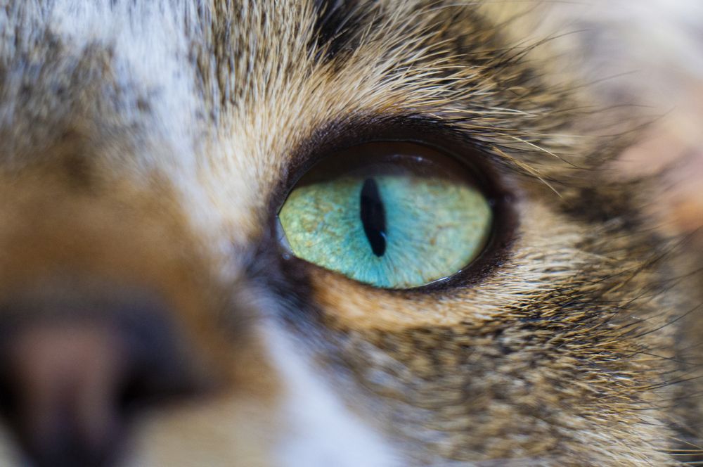 Photograph by Павел Минкевич