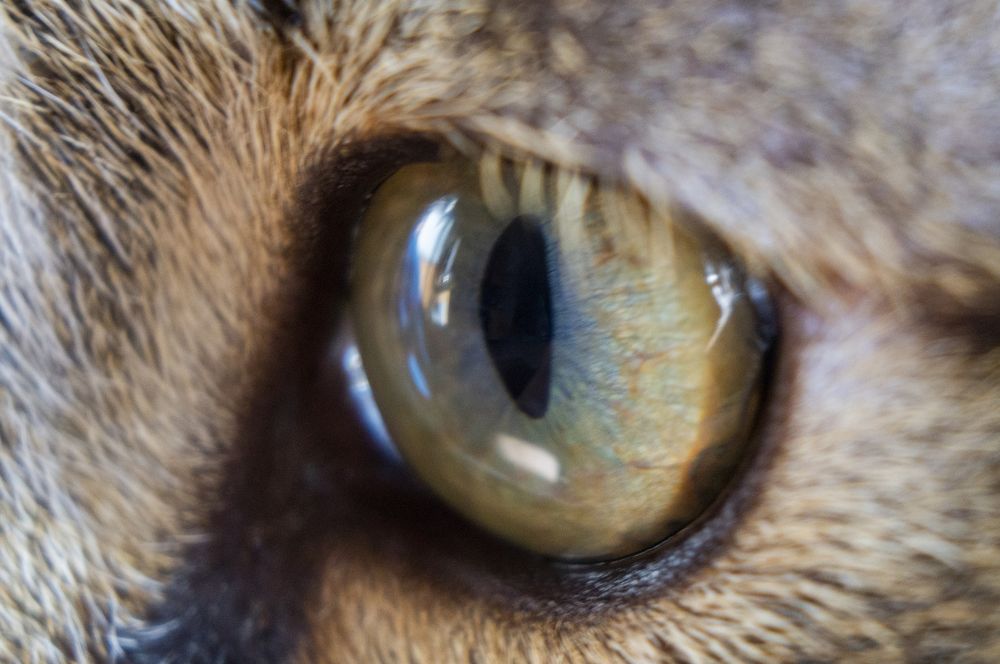 Photograph by Павел Минкевич