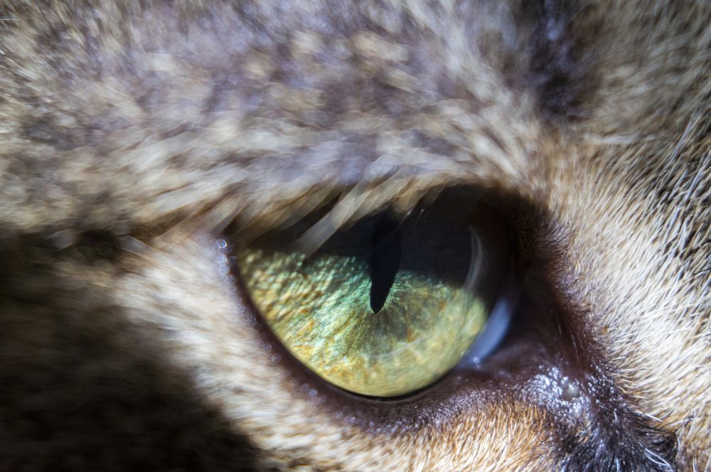 Photograph by Павел Минкевич