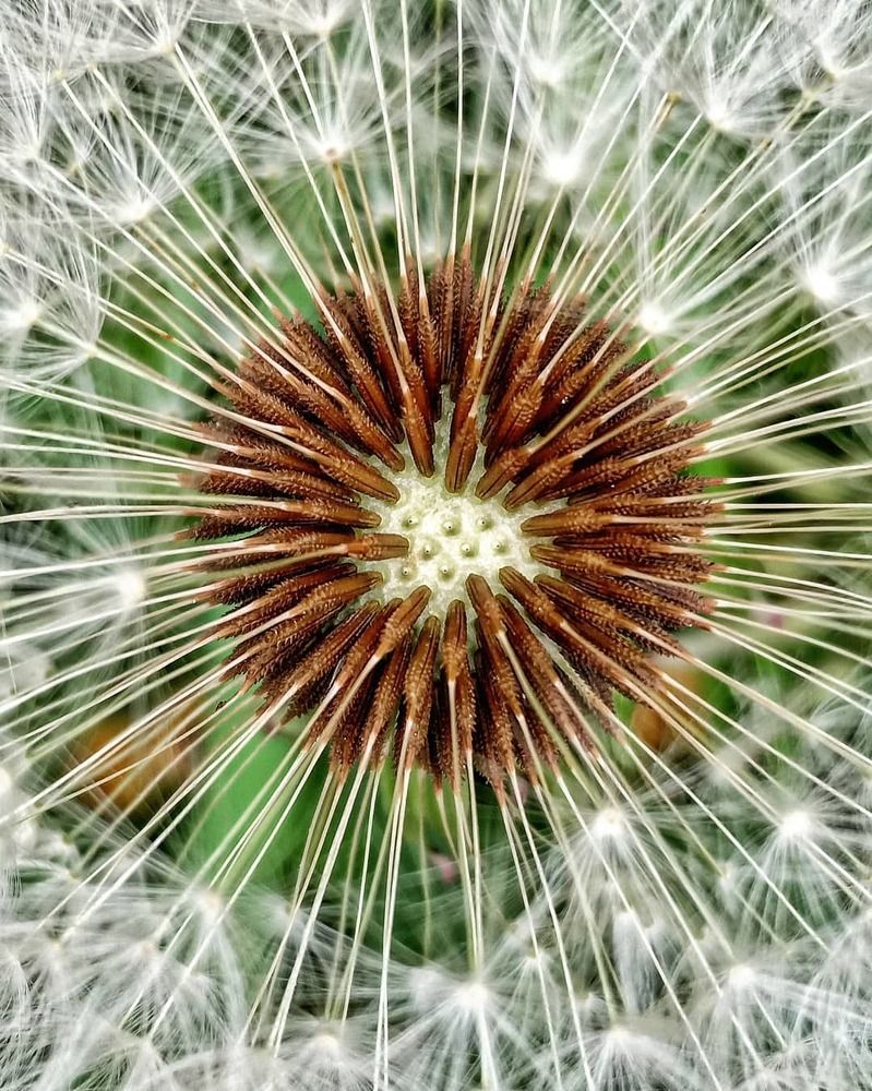 Photograph by Наталья Вавилычева