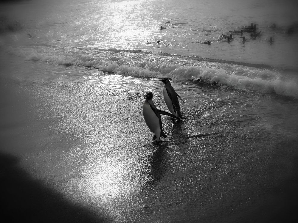 Photograph by Ivan Karavka