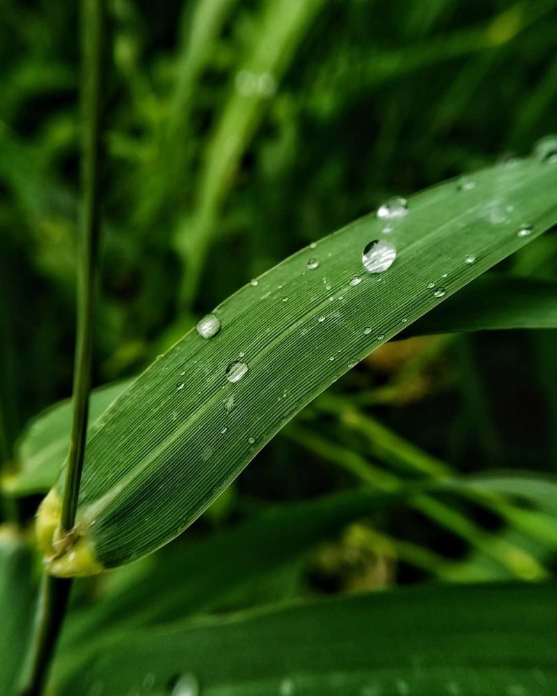 Photograph by Наталья Вавилычева