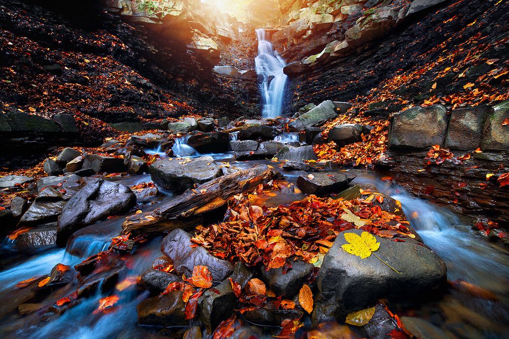 Photograph by Xenia Chowaniec