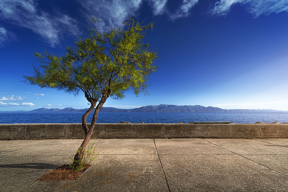 Photograph by Xenia Chowaniec