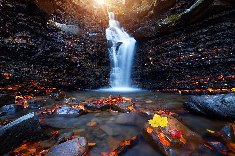 Photograph by Xenia Chowaniec